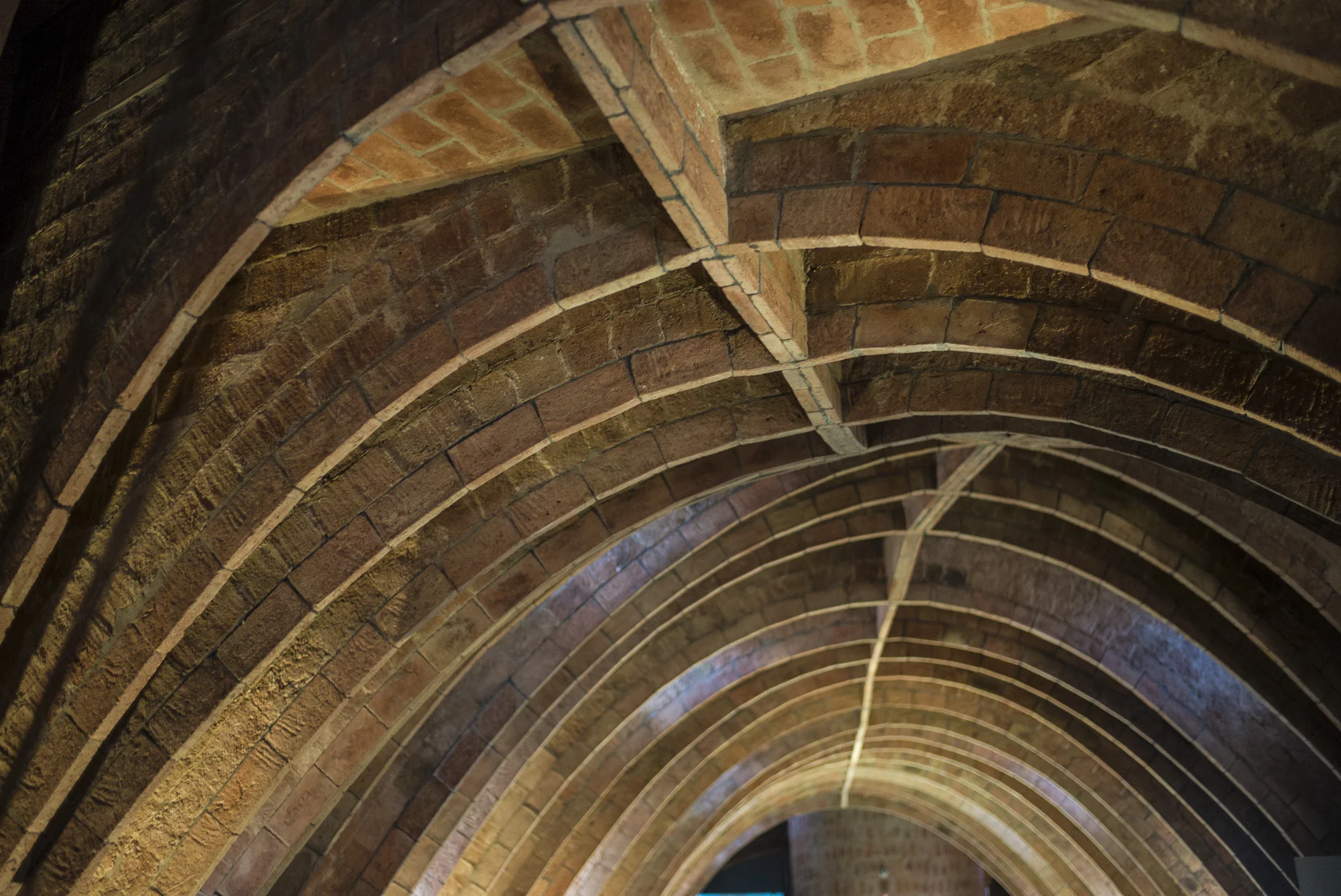 Arched Ceiling of Ribs and Spine