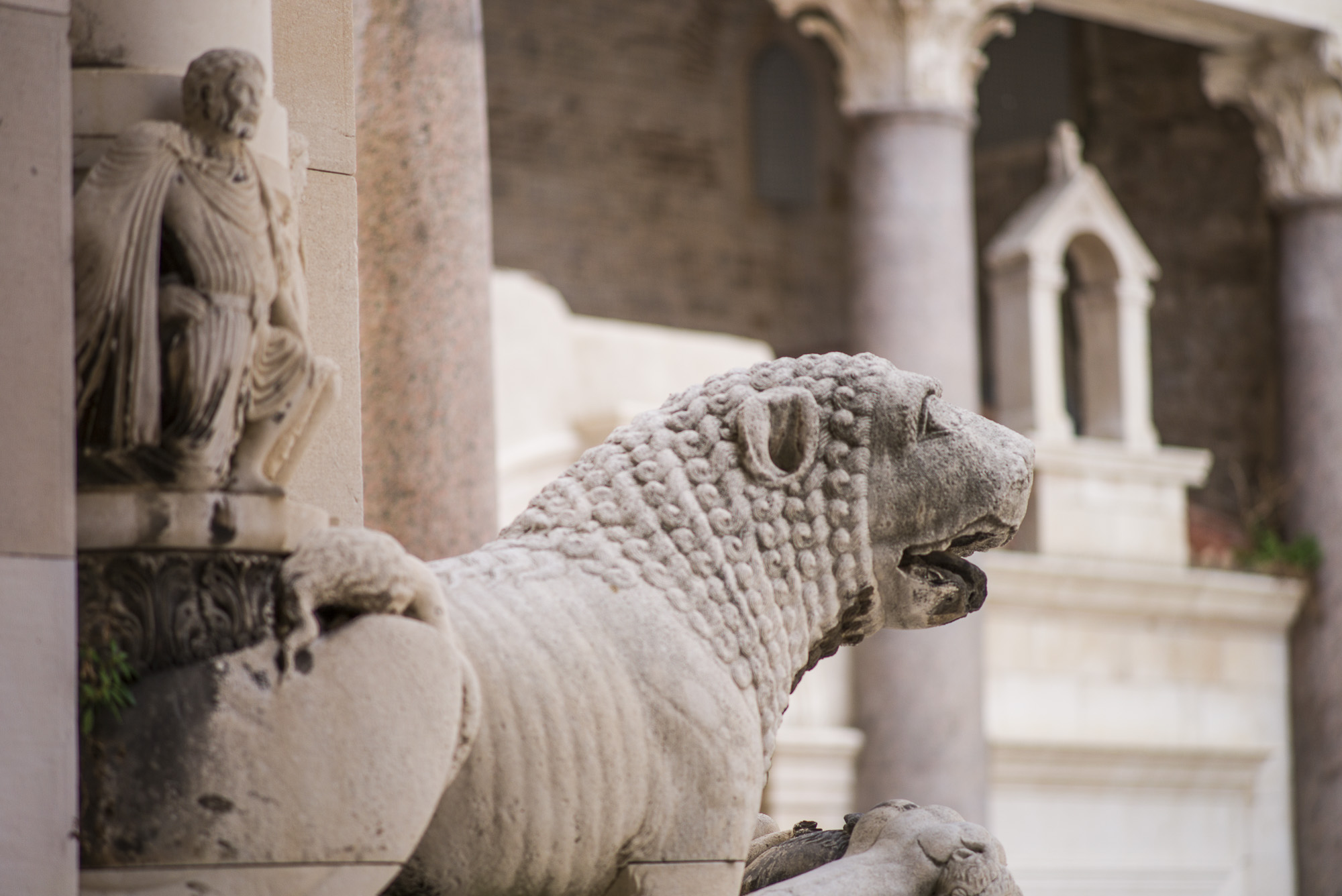 Diocletian's Lion