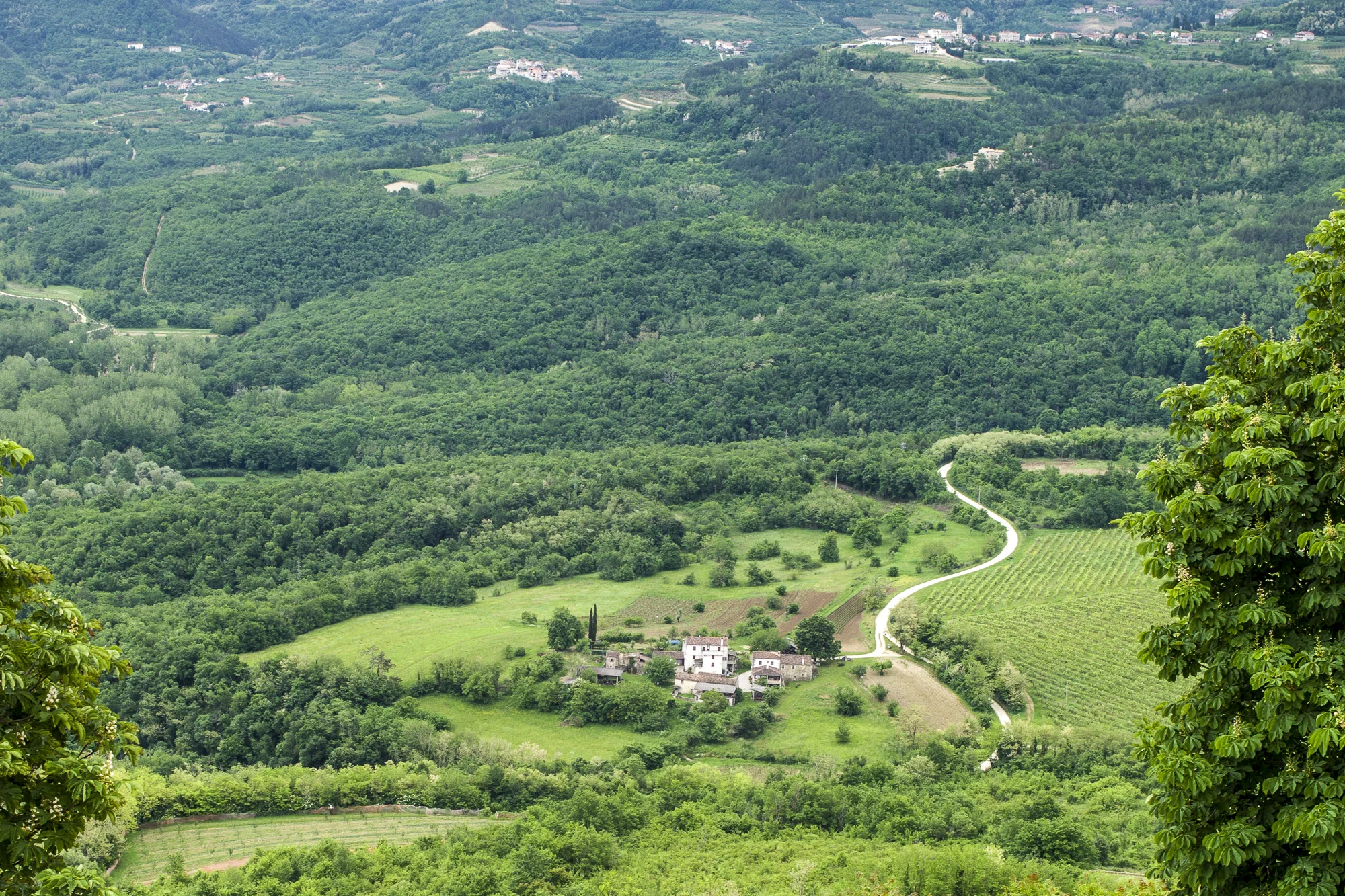 Istrian Village