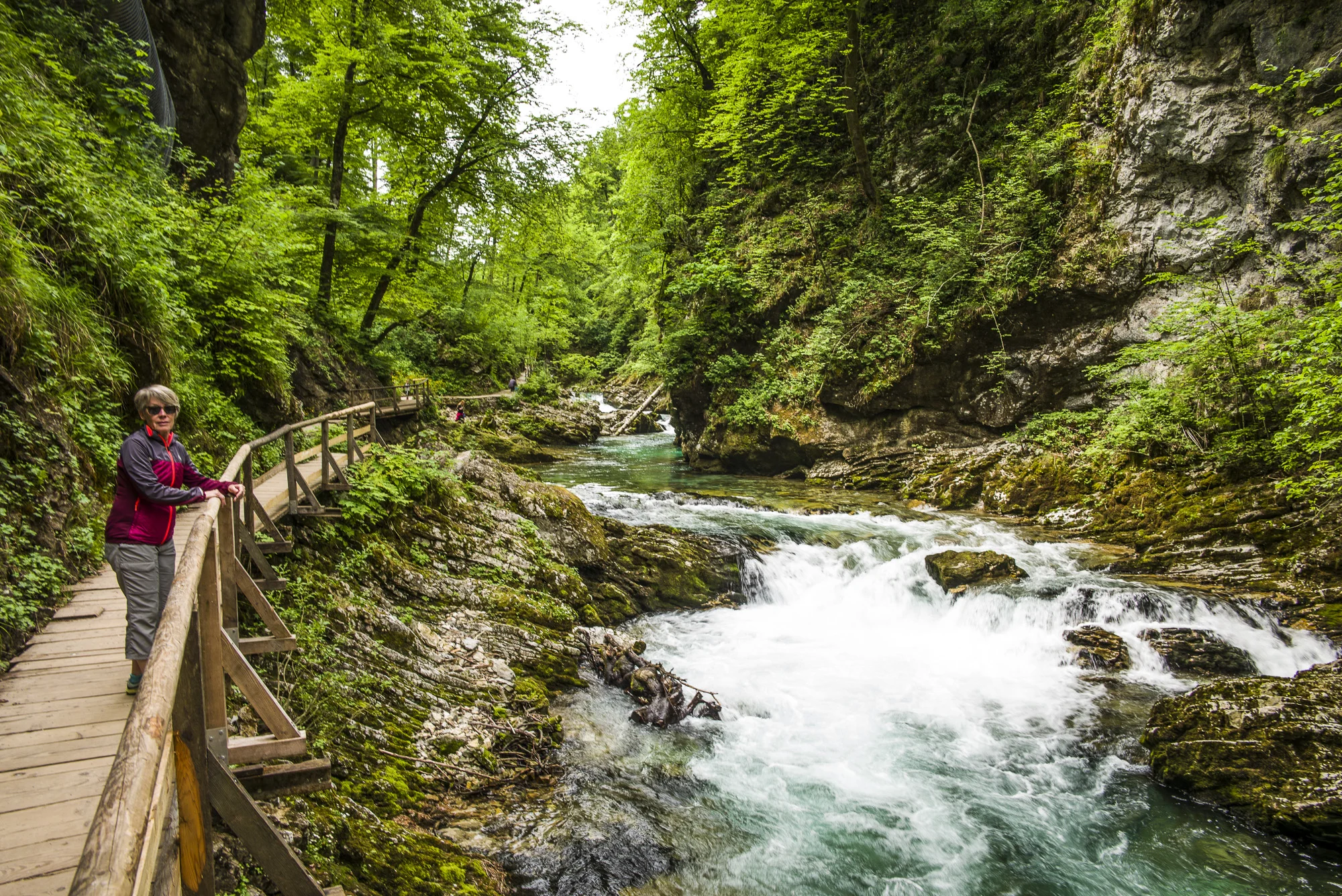 View of Vintgar Gorge