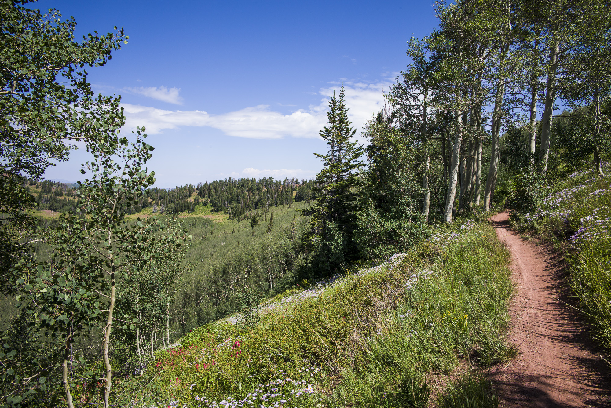 Singletrack