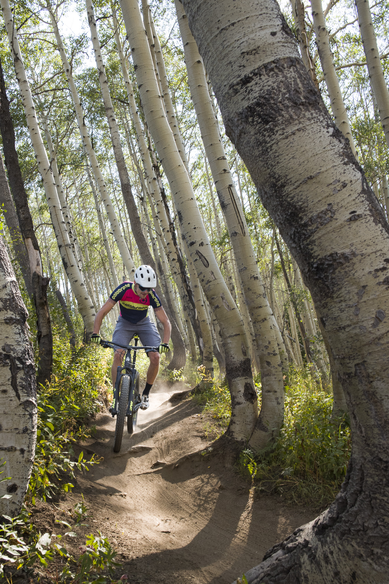 Flying through the Aspens