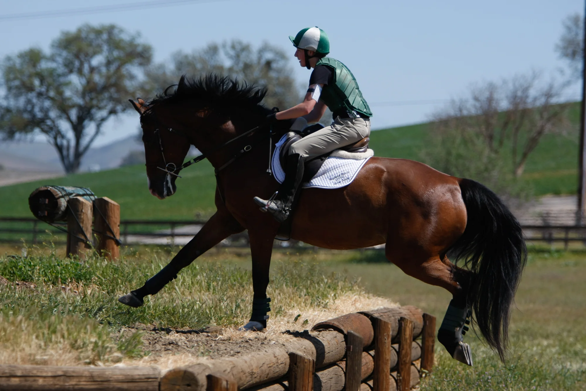 Learning to shoot equestrian sports