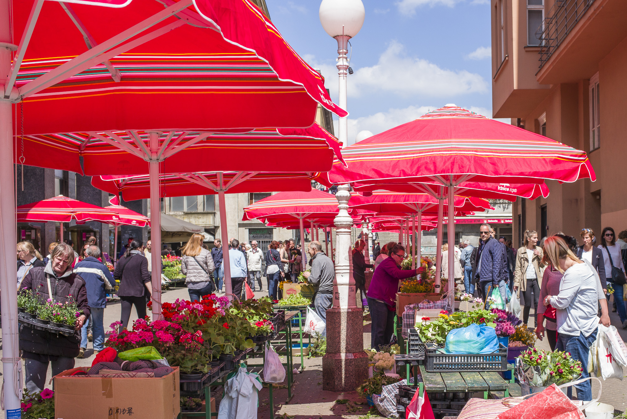 Flower Market