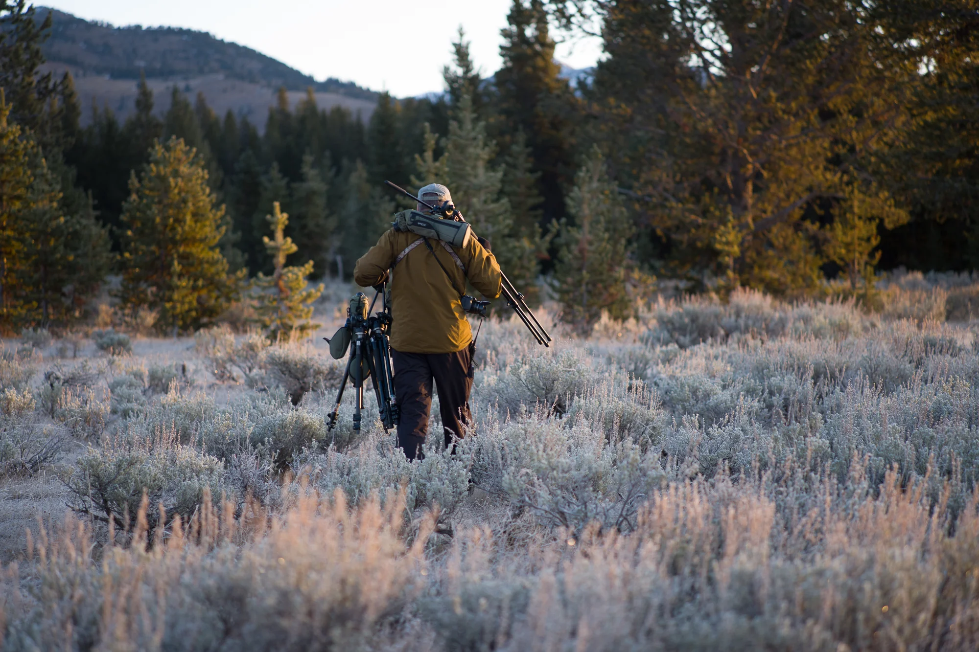 Wolf Tracking in Yellowstone — Travel Is Beautiful