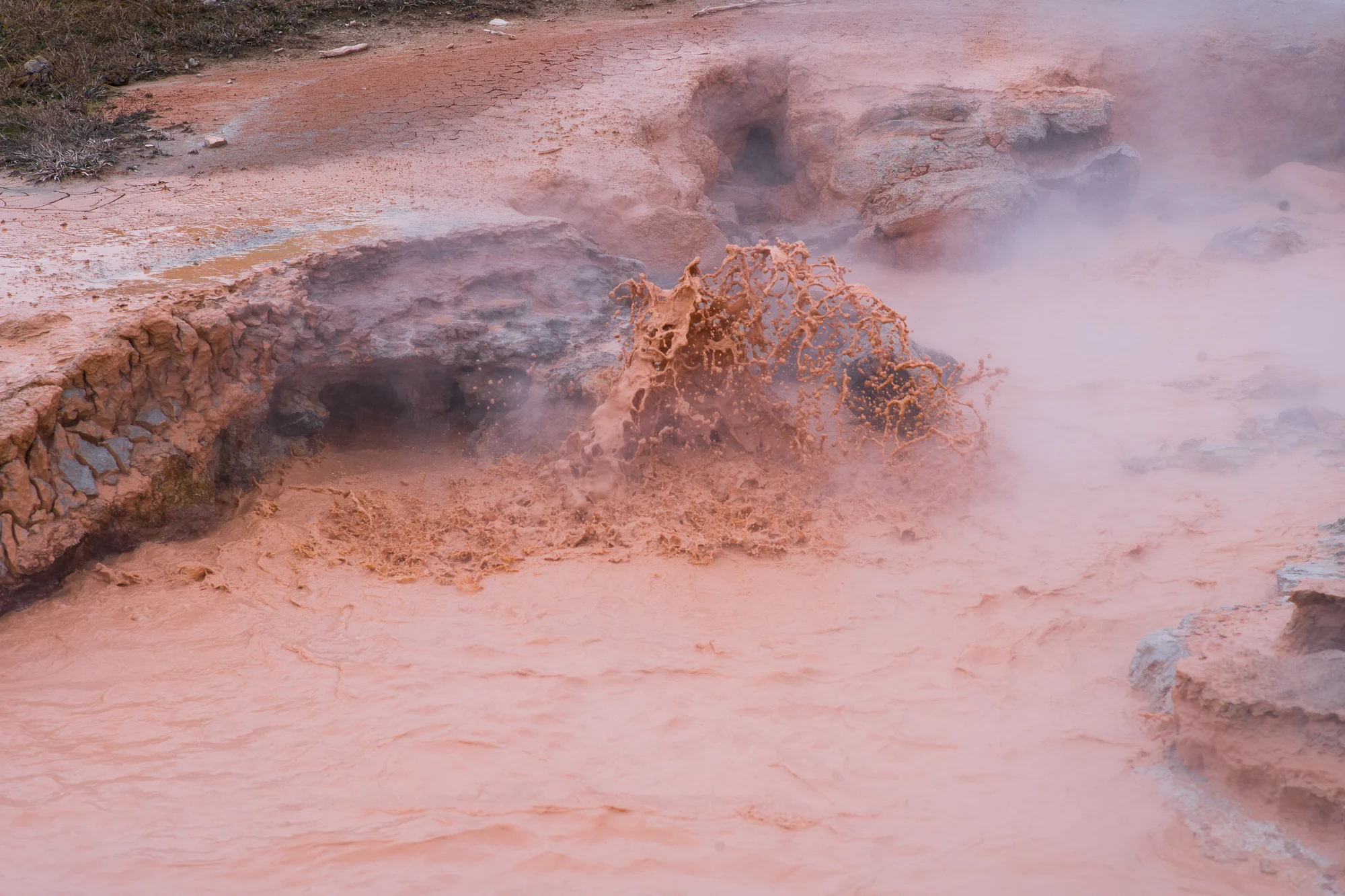 Bubbling Red Mud in Yellowstone