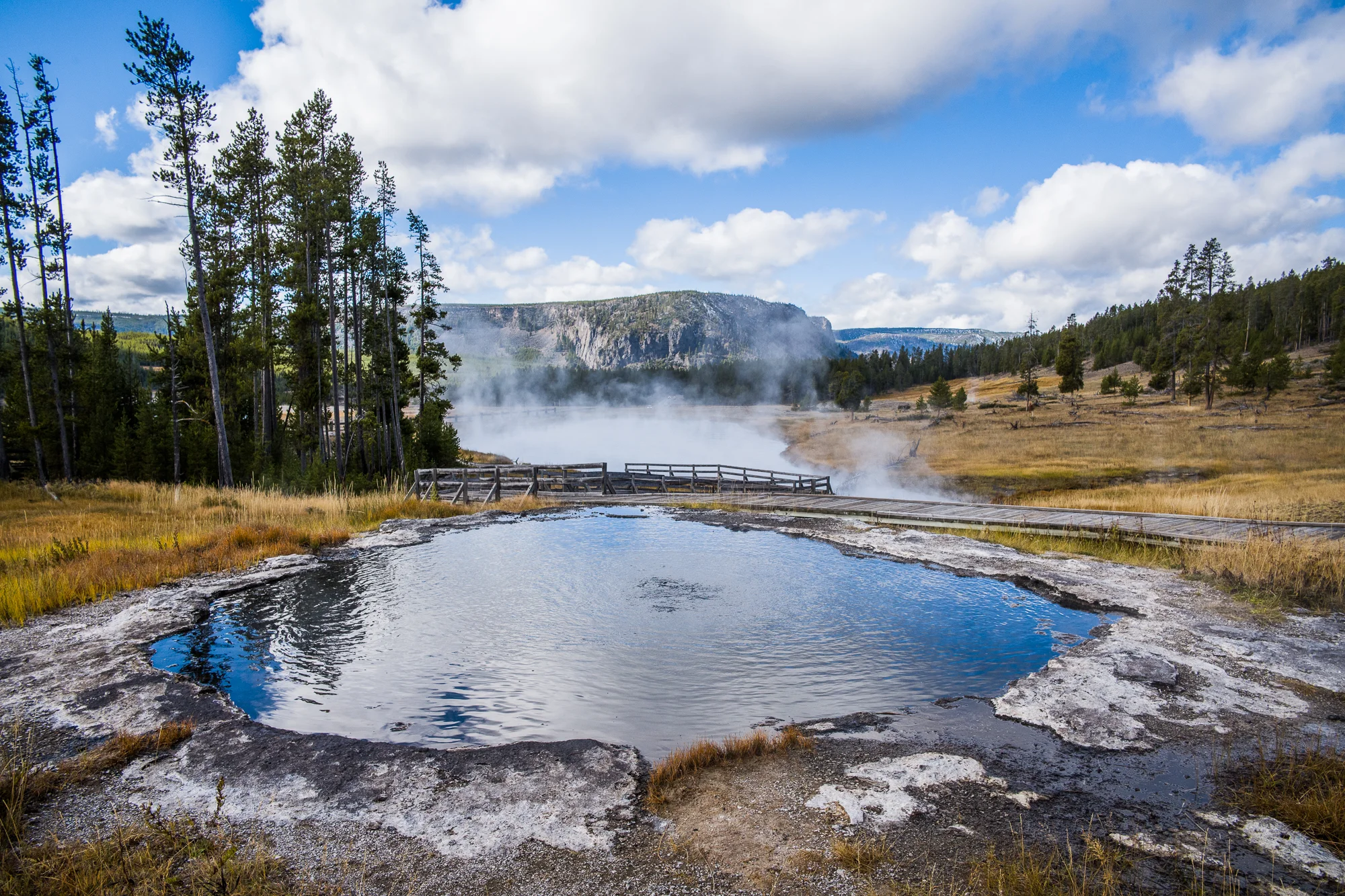 Reflection in Bubbling Hot Spring