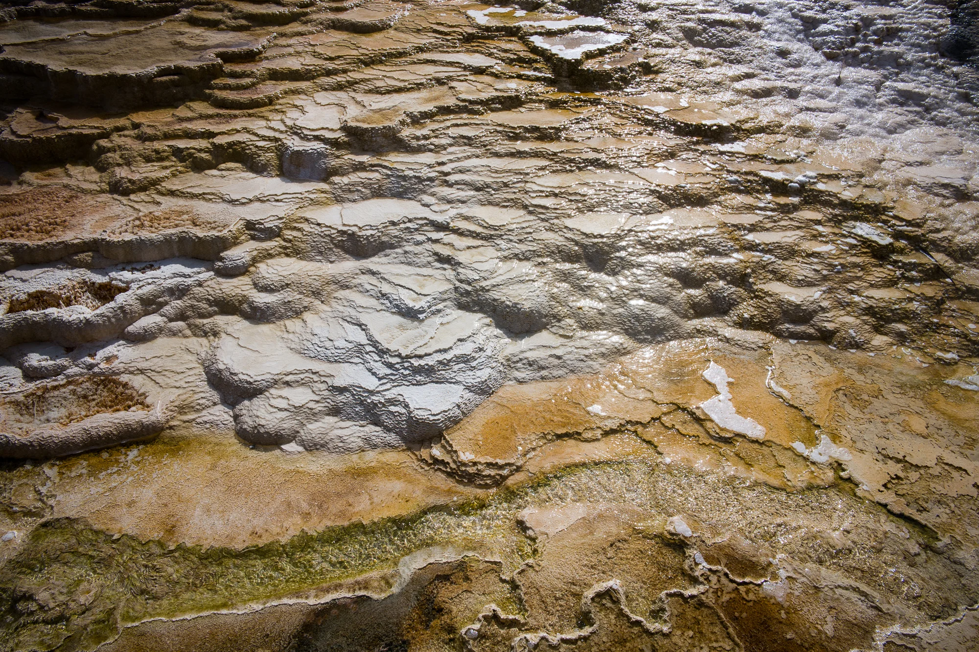 Mammoth (128 of 147).jpg
