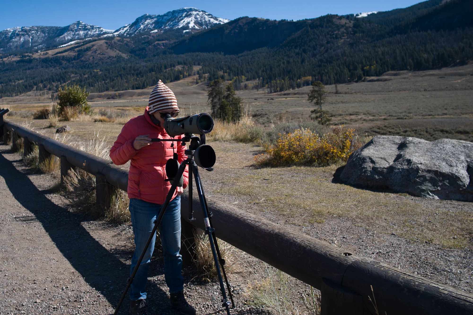 Wolf_Track (140 of 170).jpg