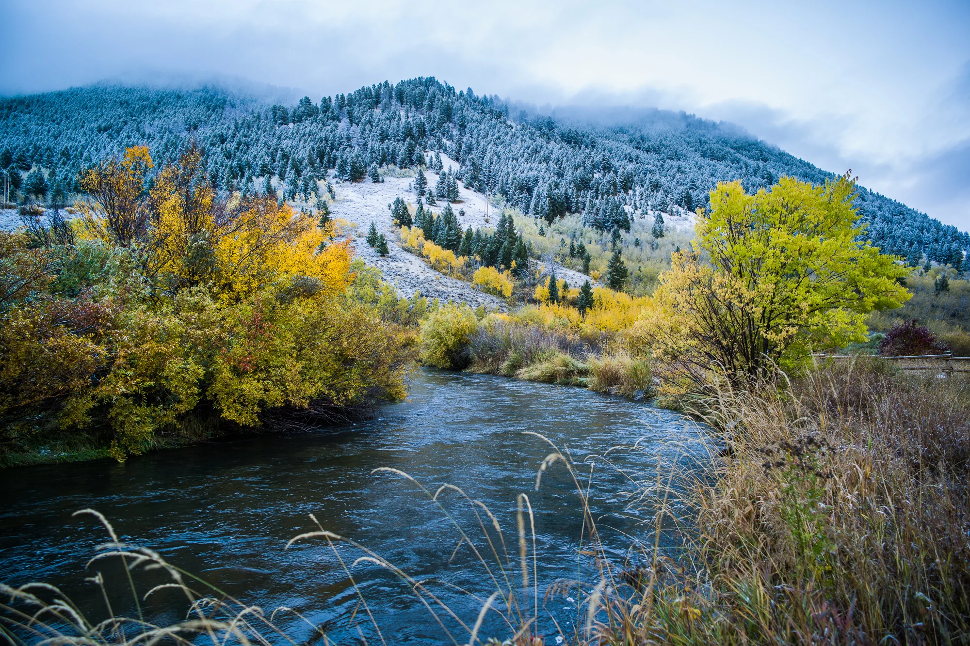 Yellowstone (2 of 10).jpg