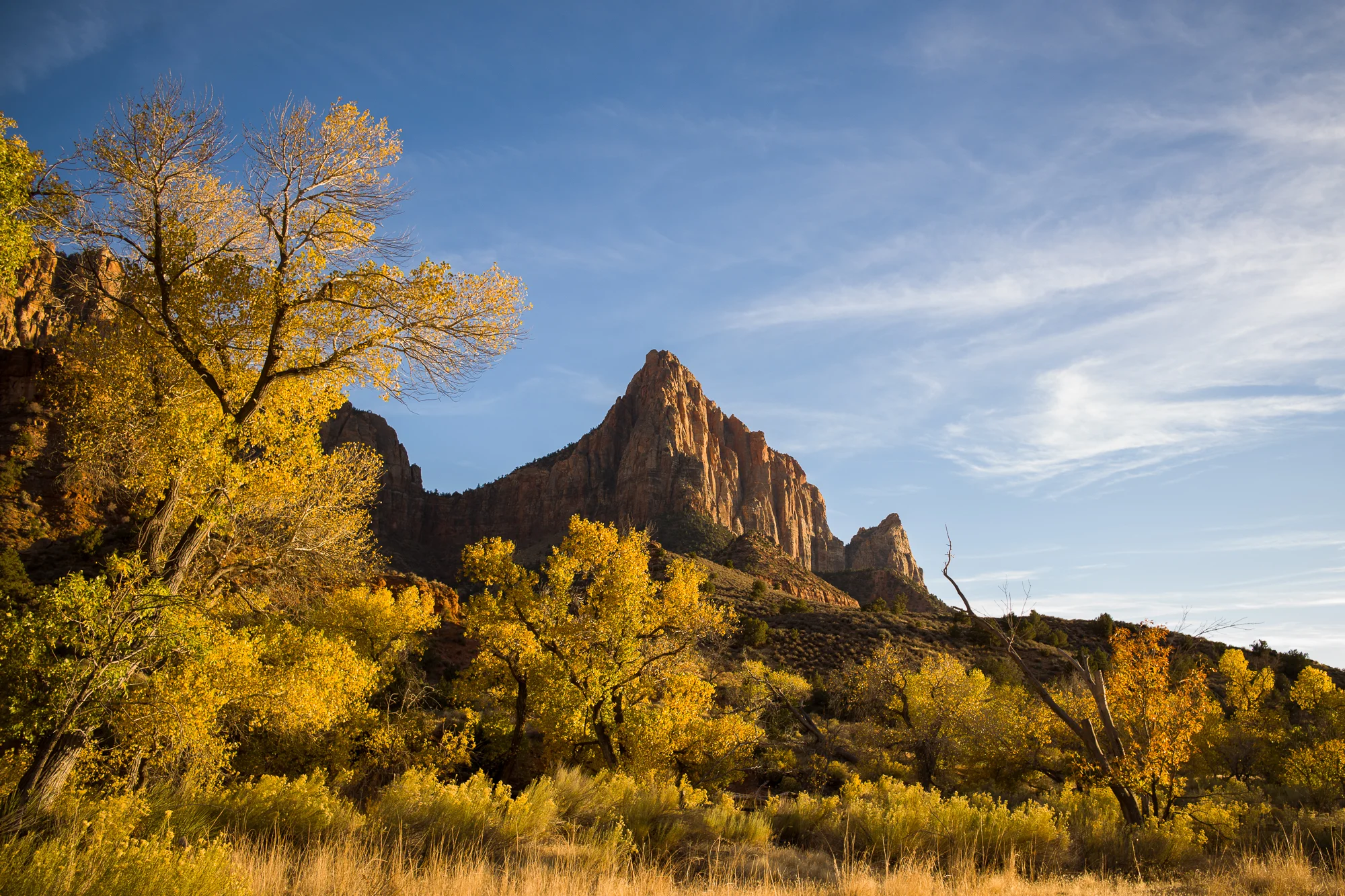 Watchman Trail in Autumn
