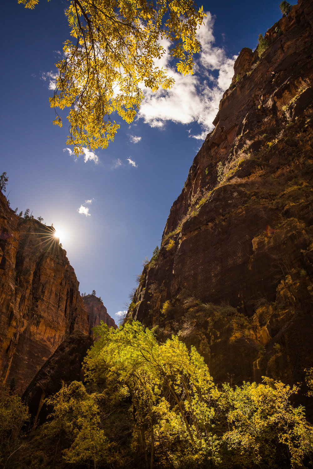 Autumn in Zion