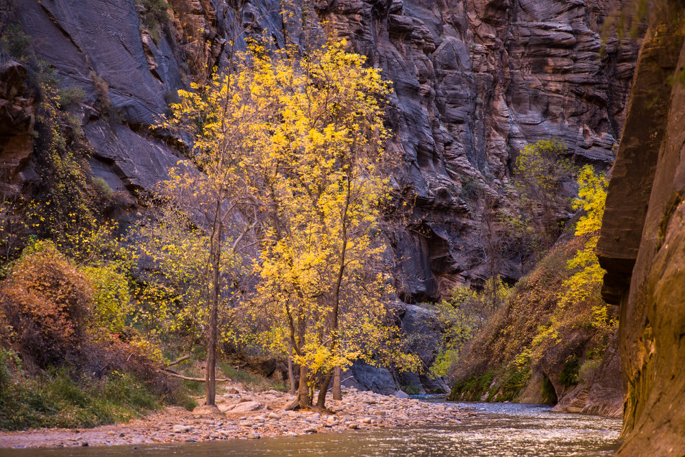 The beginning of The Narrows