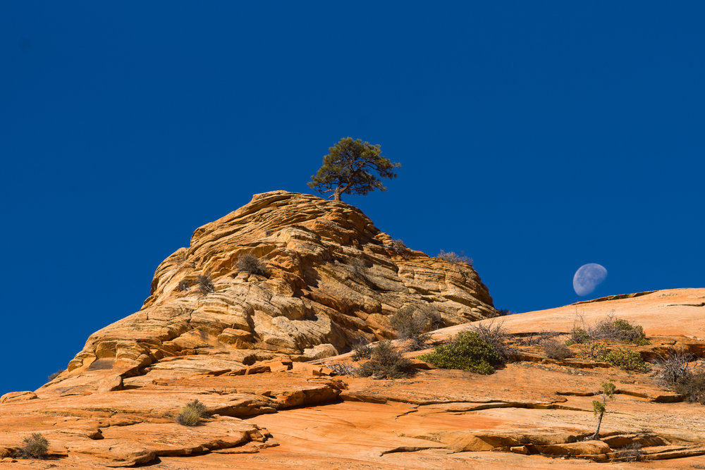 Moonset in the morning