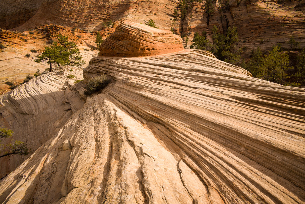 Hoodoo on a wave of stone