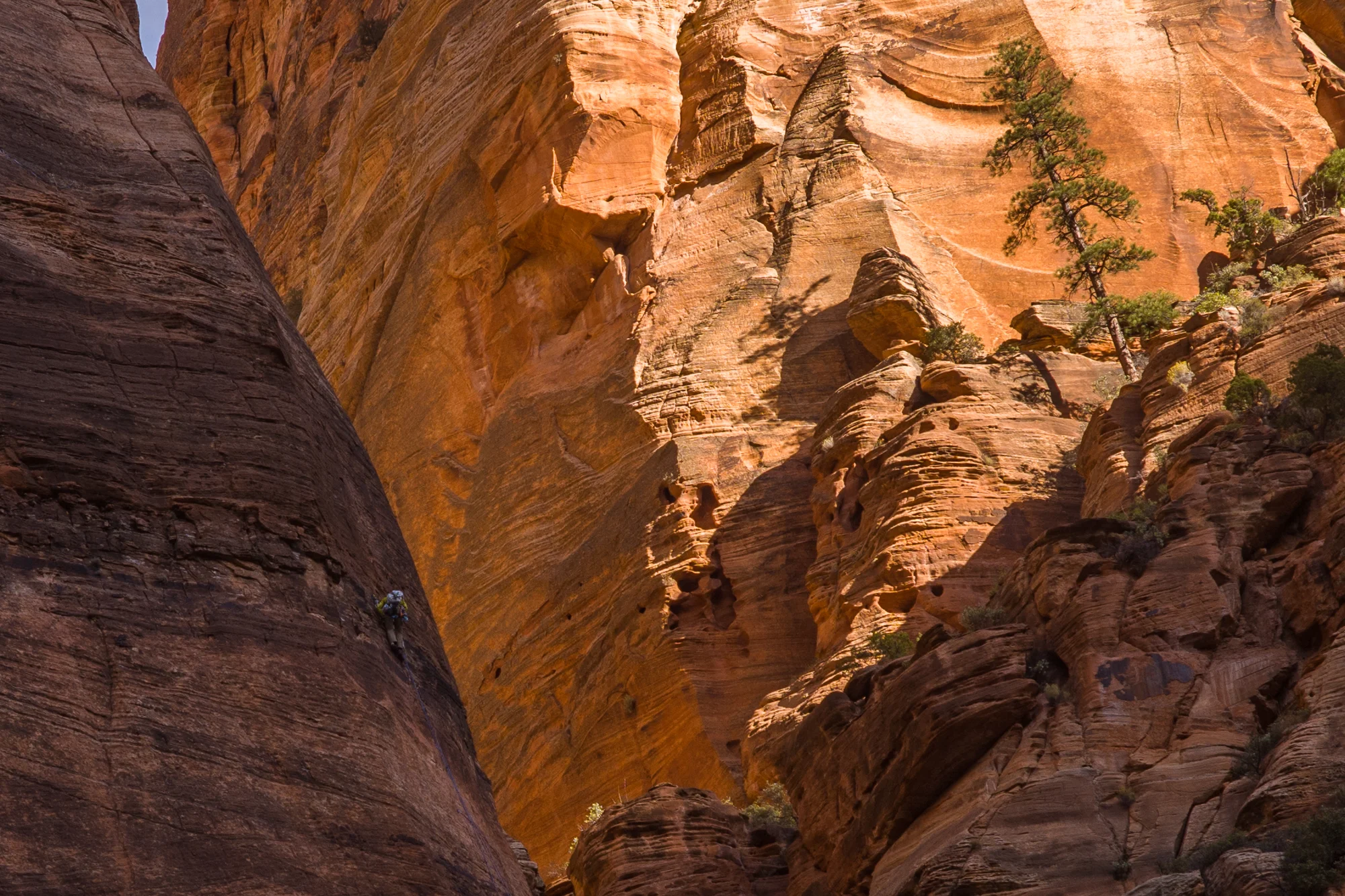 Climber on the wall of Zion Canyon