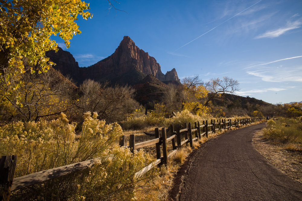 Leica M10 with 24mm Summilux - Watchman's in Zion