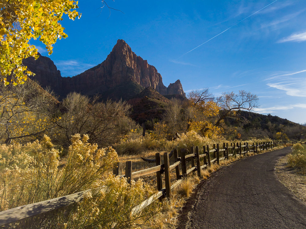 Light L16 at 28mm - Watchman's in Zion