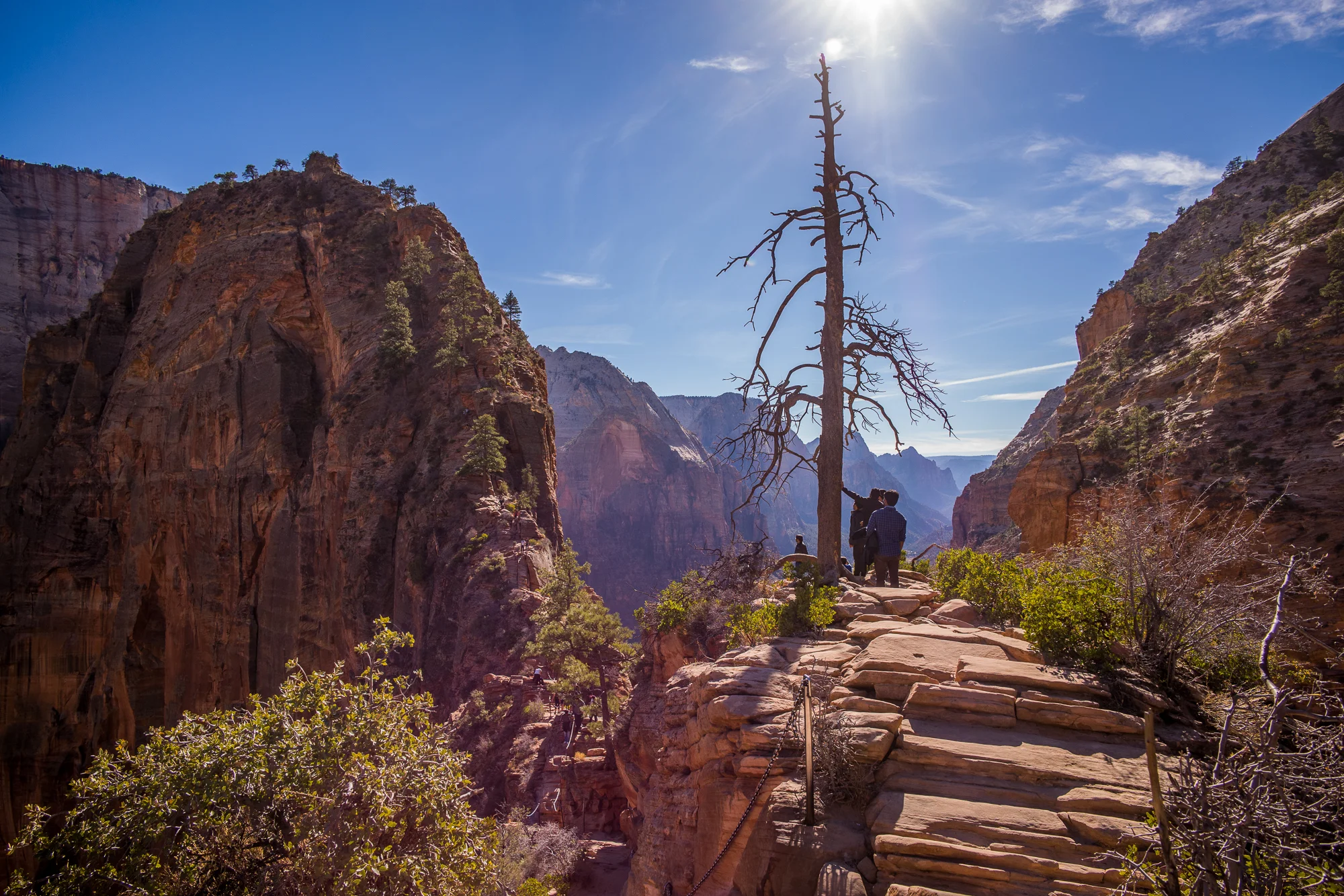Angels Landing in Zion