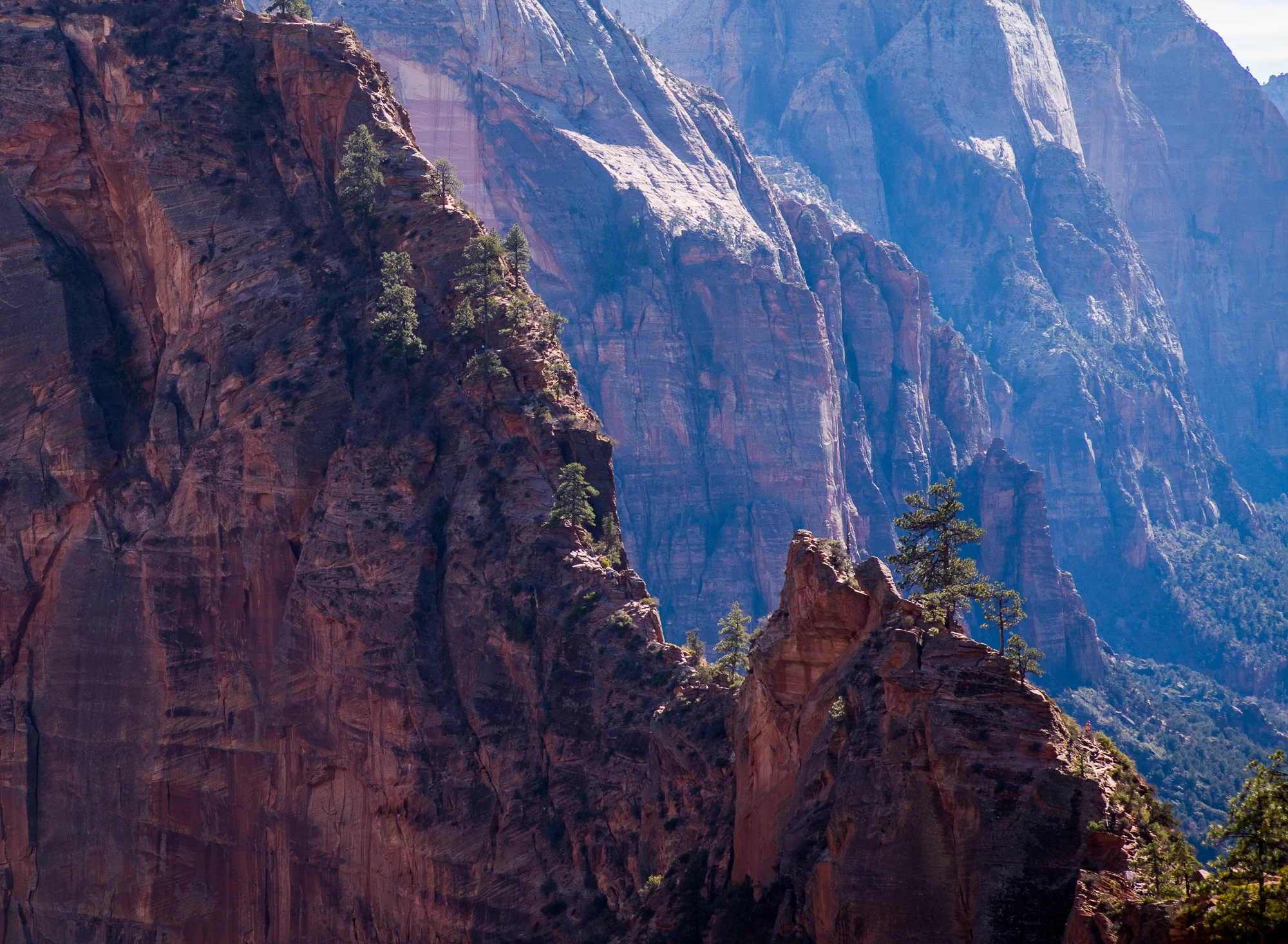 The ridge of Angels Landing climb