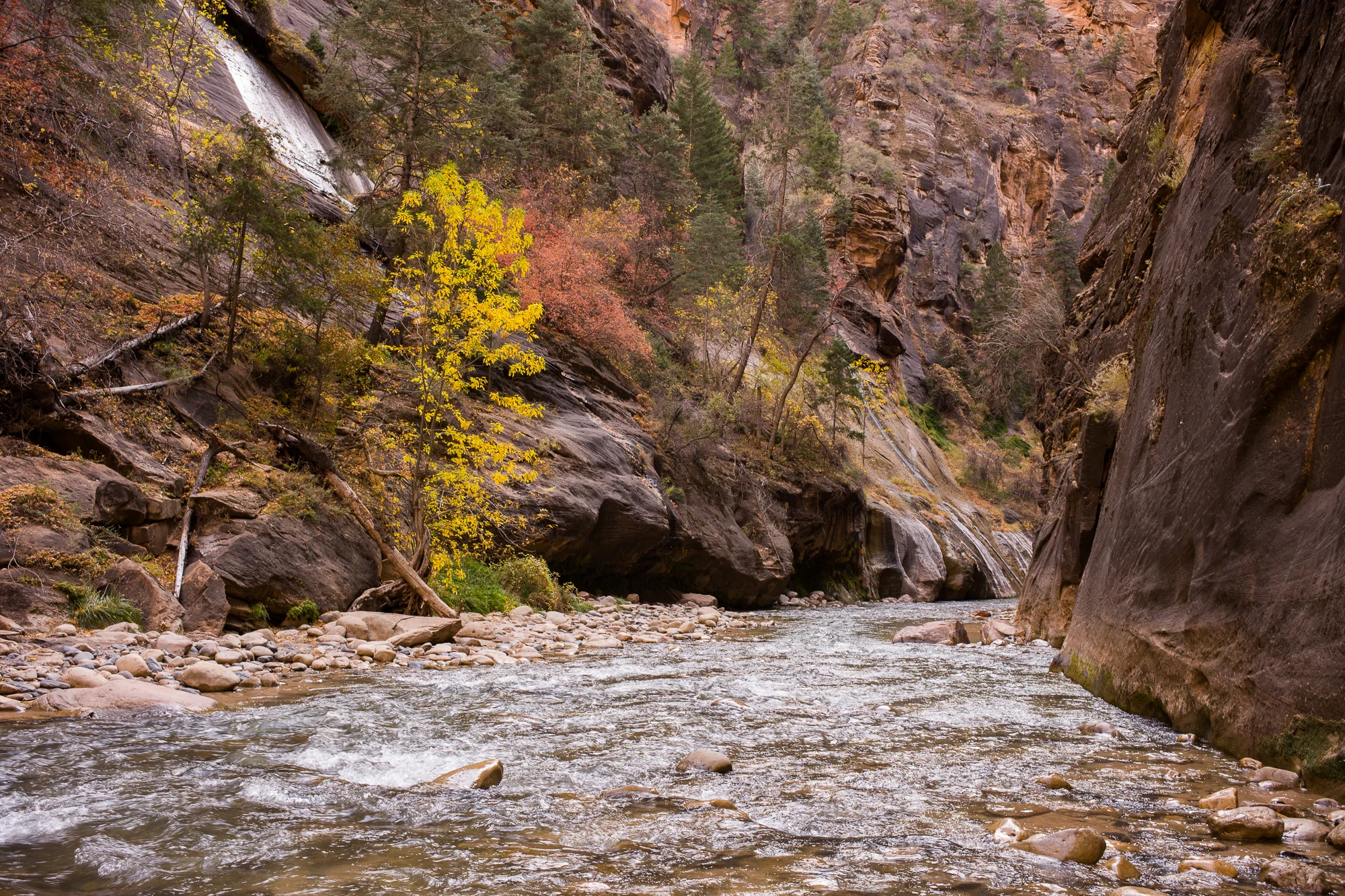 The Virgin River
