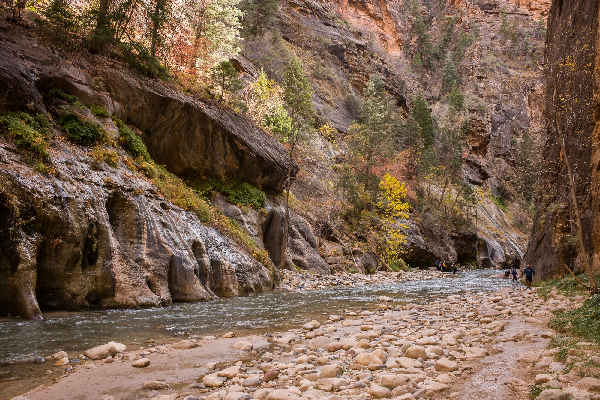 The Virgin River inside The Narrows