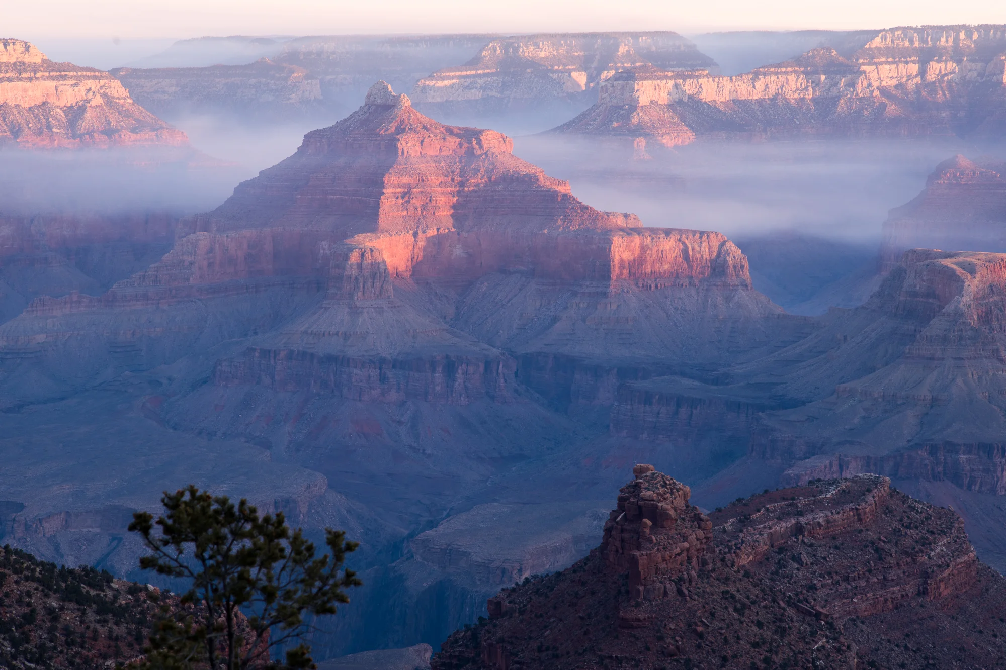 Morning Fog in the Grand Canyon