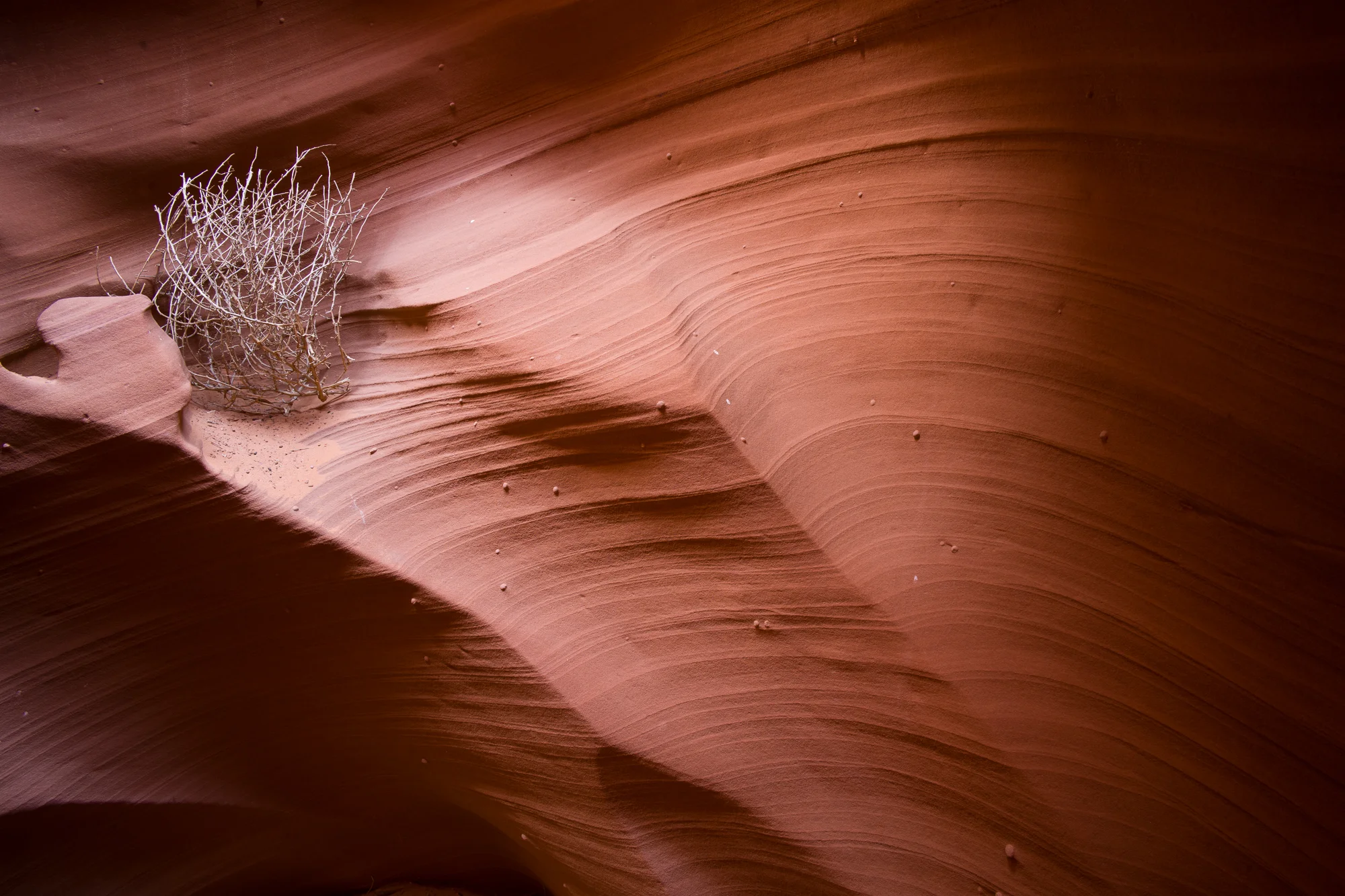 untitled (210 of 353).jpg