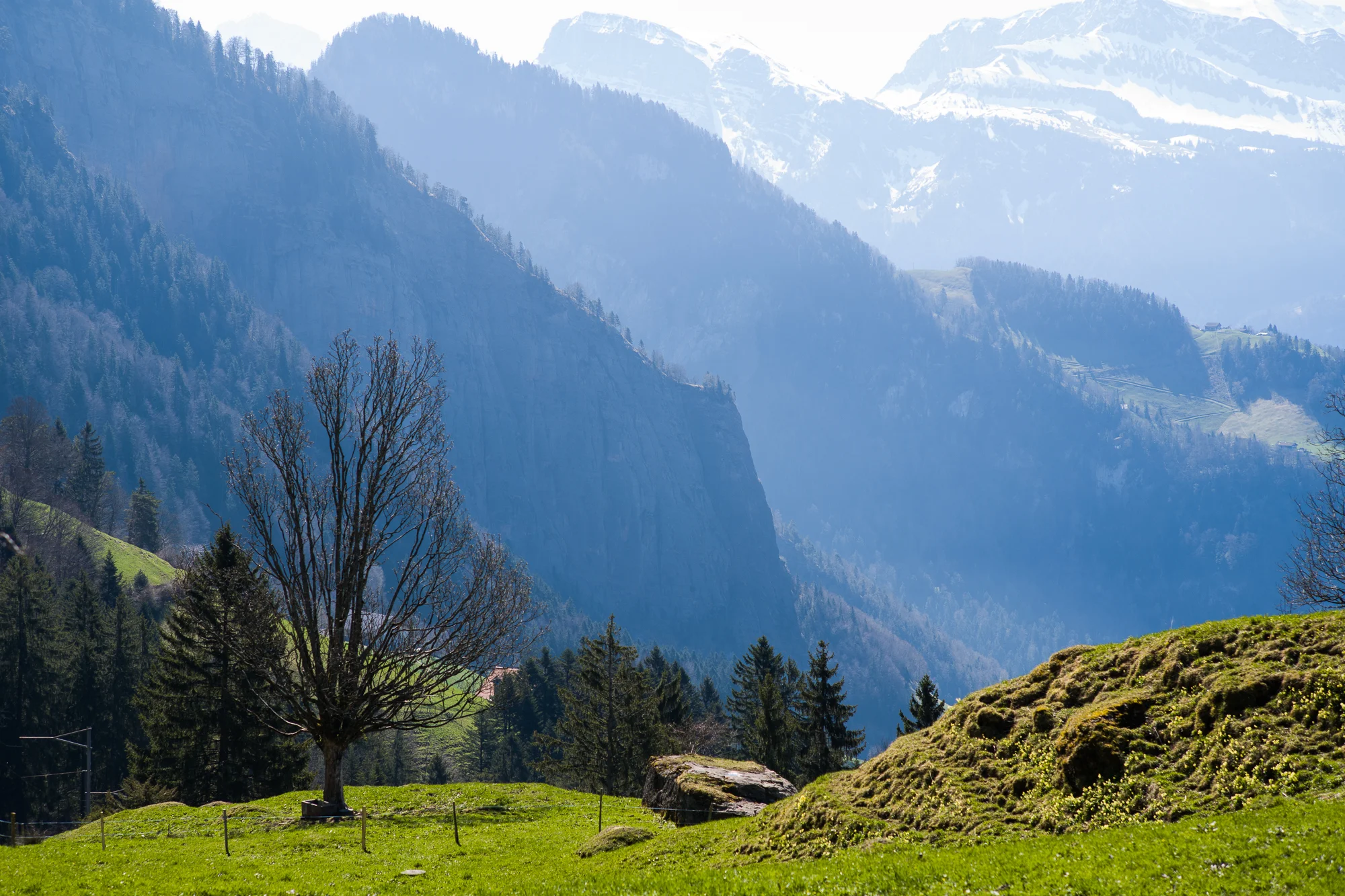 Hiking down to Weggis from Rigi Kaltbad