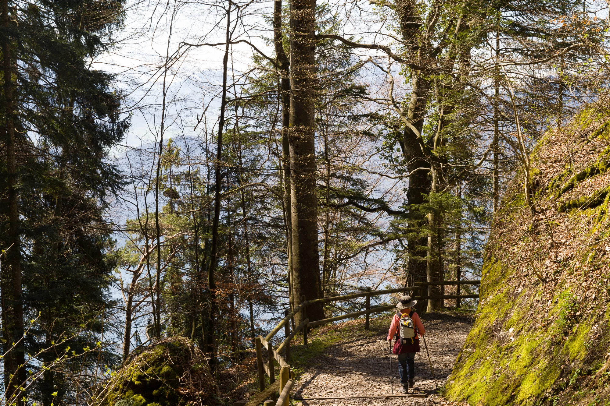 Hiking to Weggis from Rigi Kaltbad