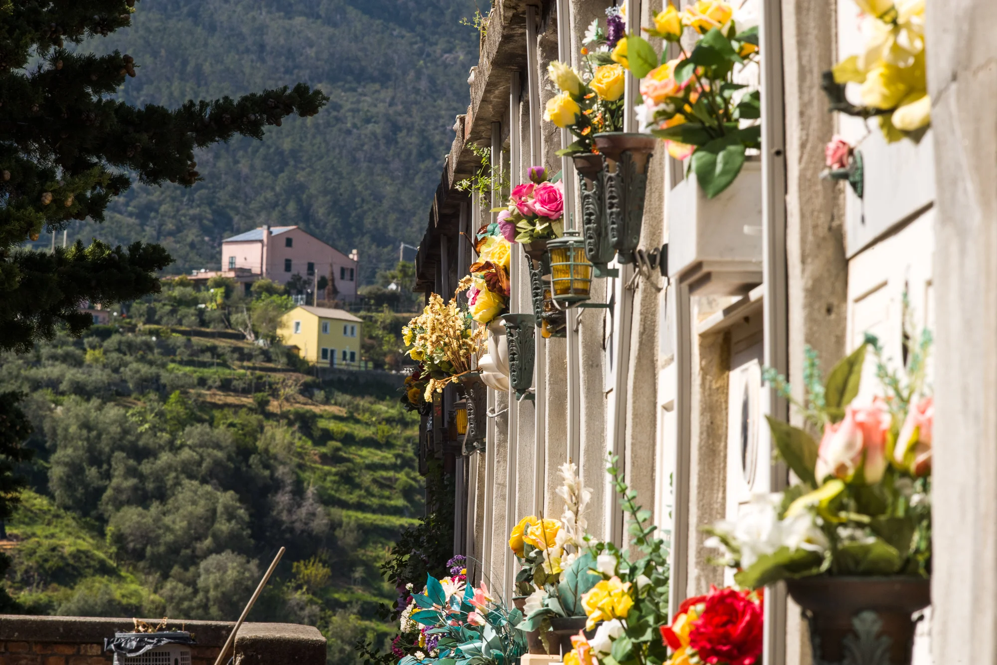 Flowers in the cemetery at Cinque Terre