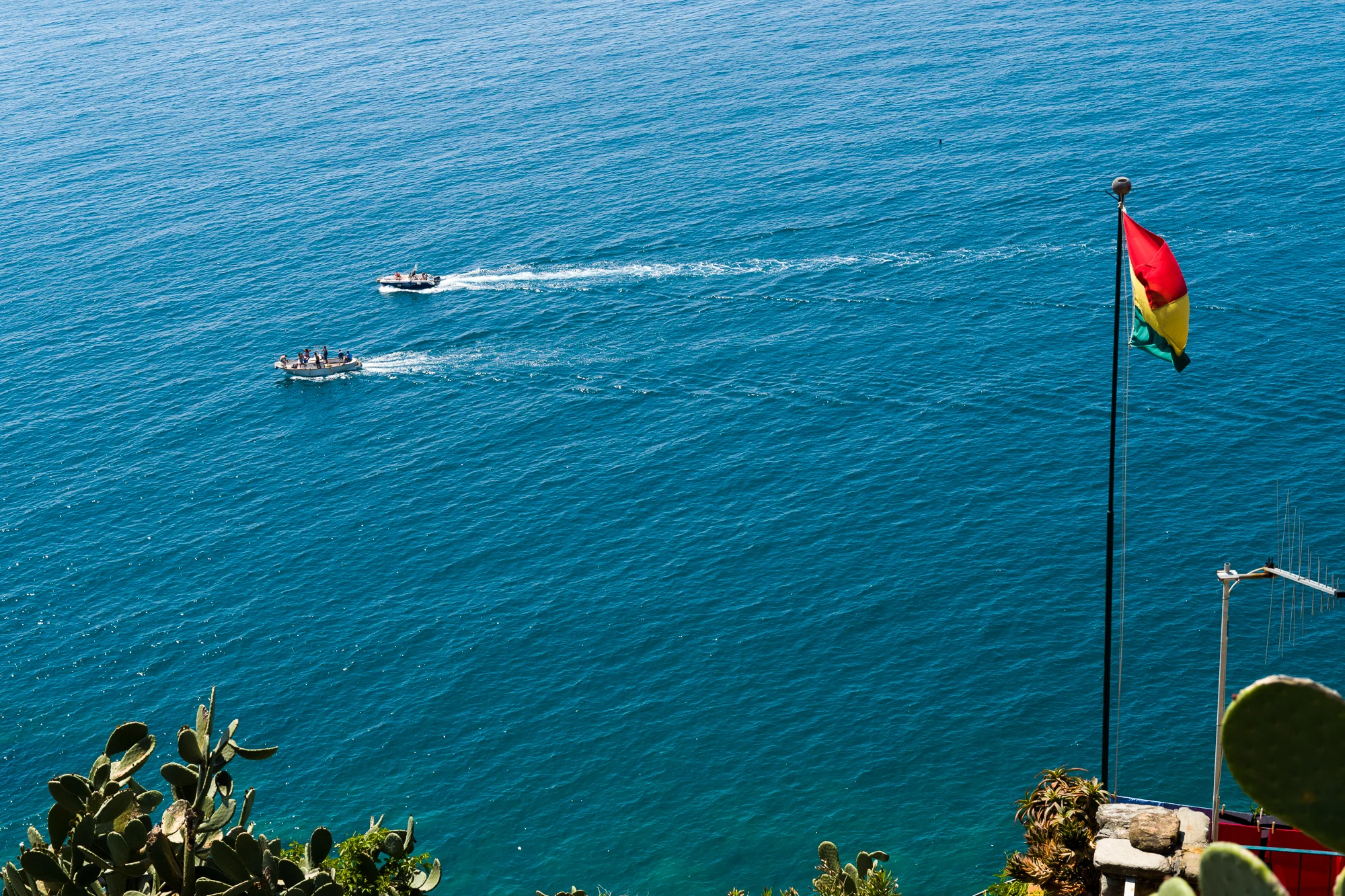 Boats racing seen from the hiking trail