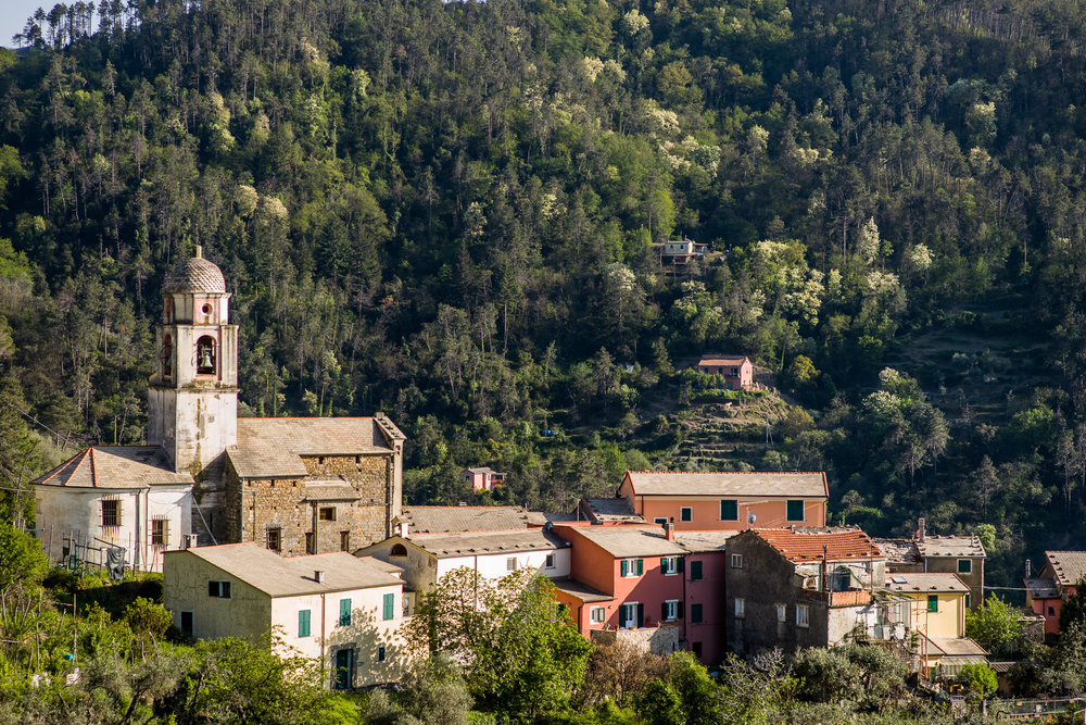  A typical village in the Cinque Terre hills 