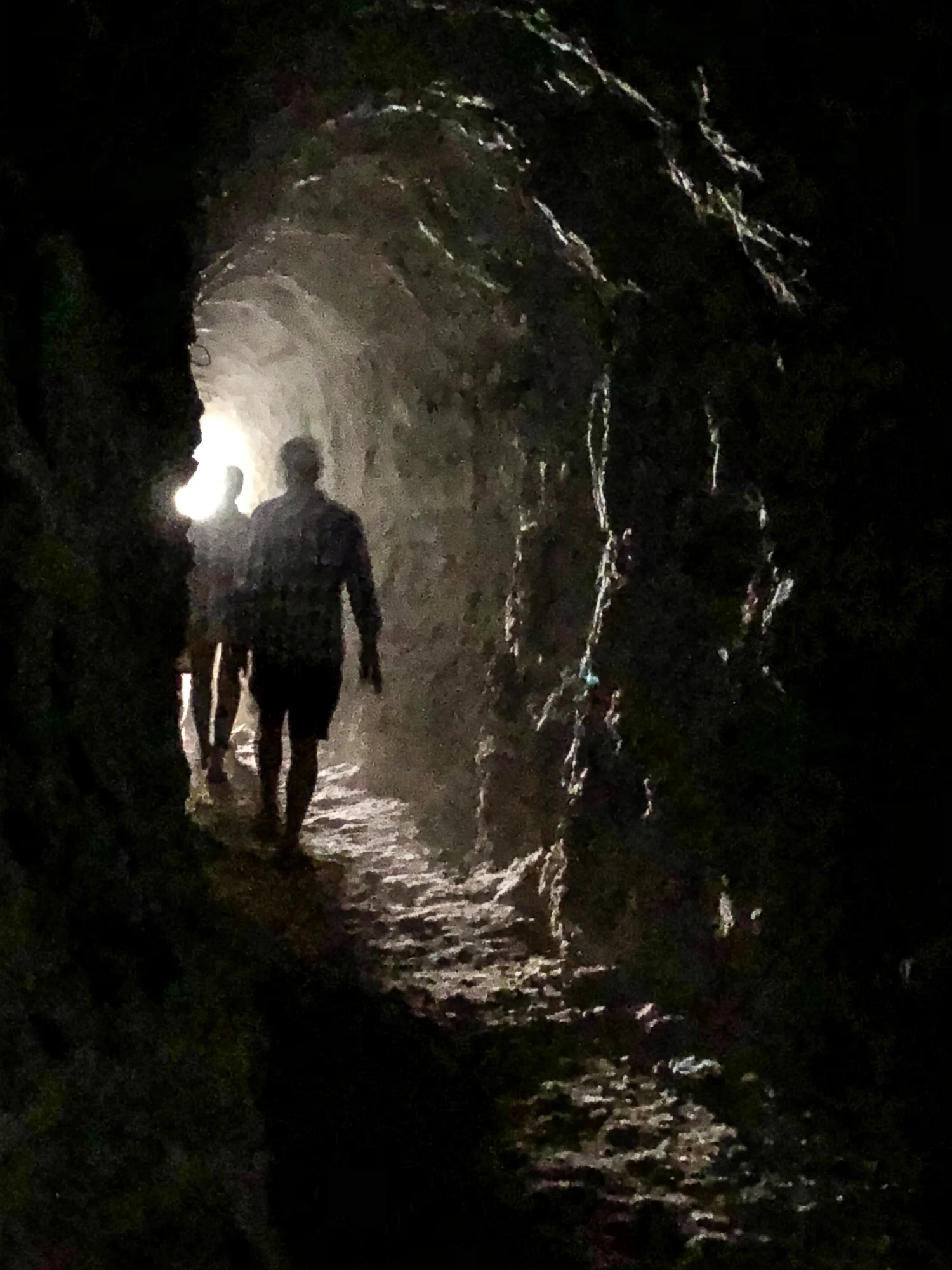 Inside the tunnel built for the Marble Canyon Dam
