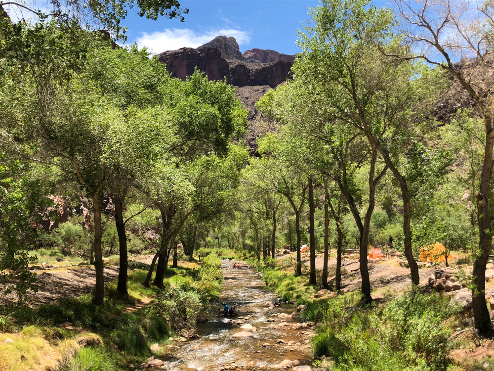  Bright Angel Creek near Phantom Ranch 