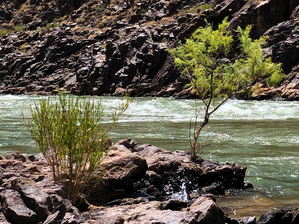  Life by the Colorado River 