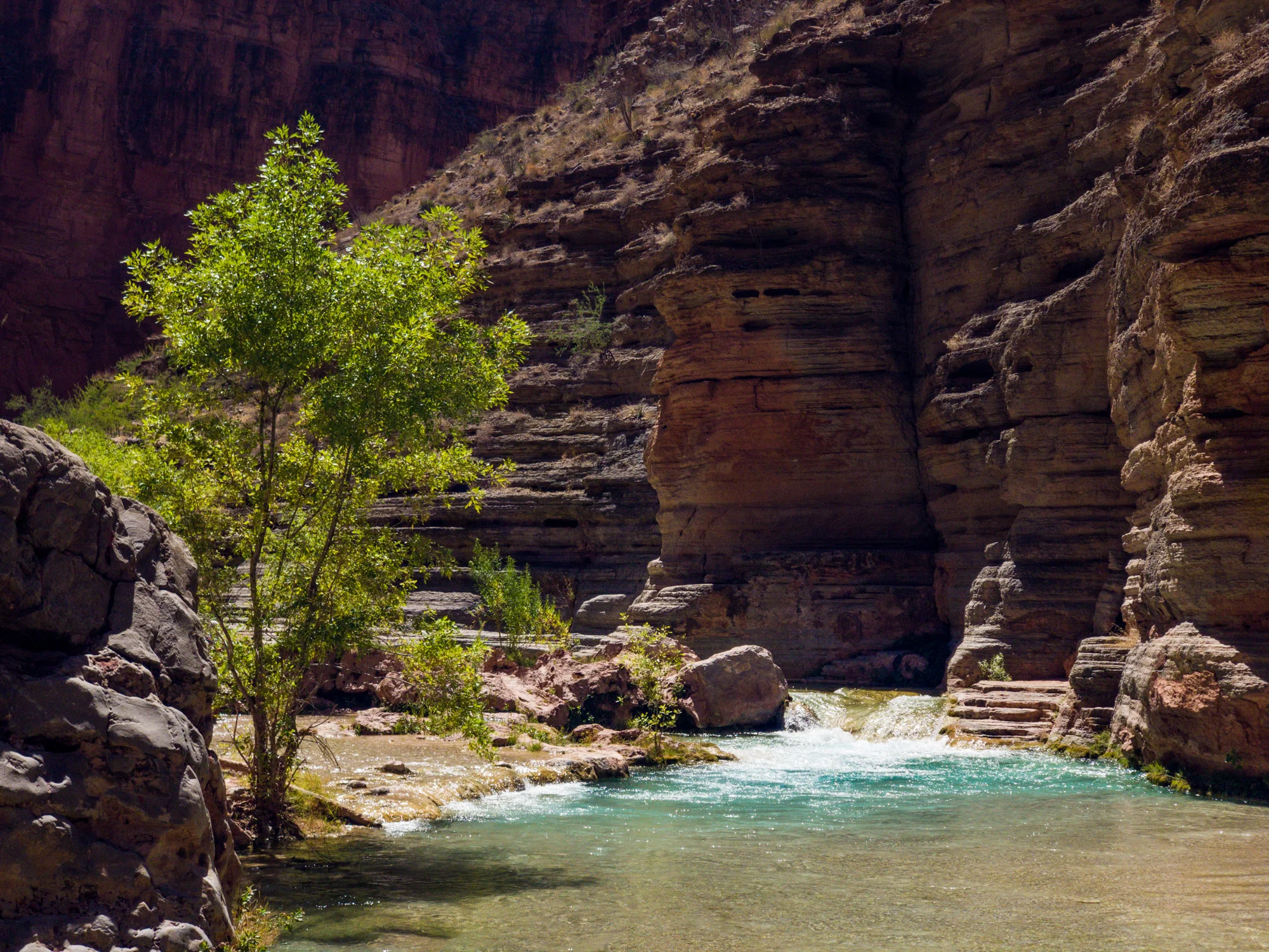 Havasu Creek