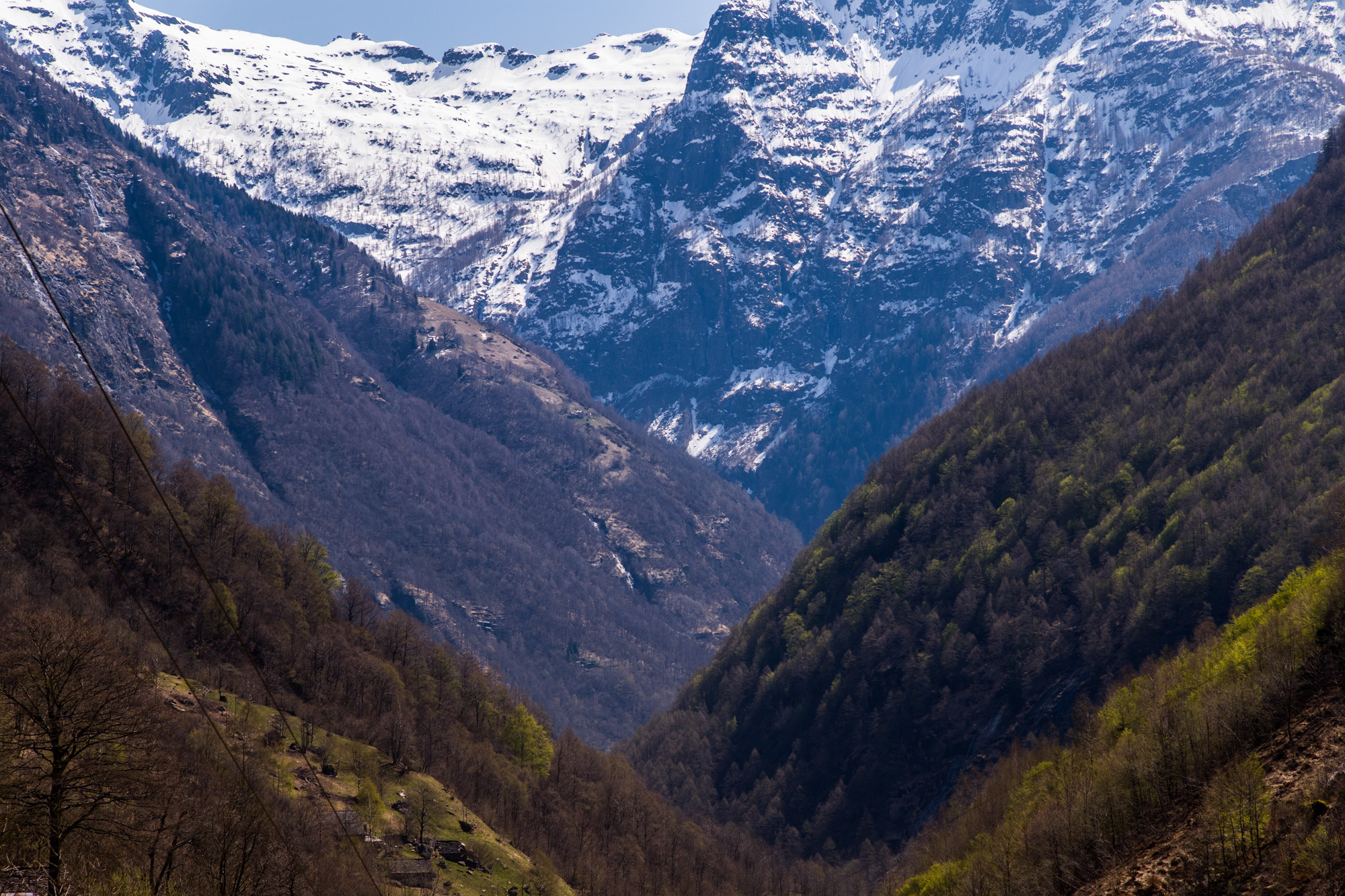 The Lepontine Alps