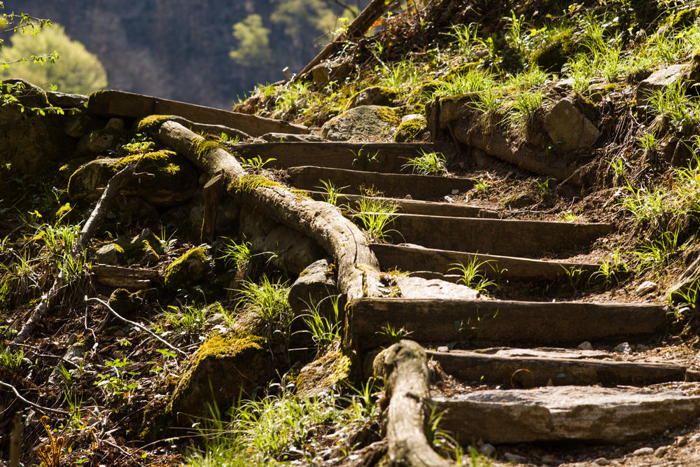 Hiking Trail