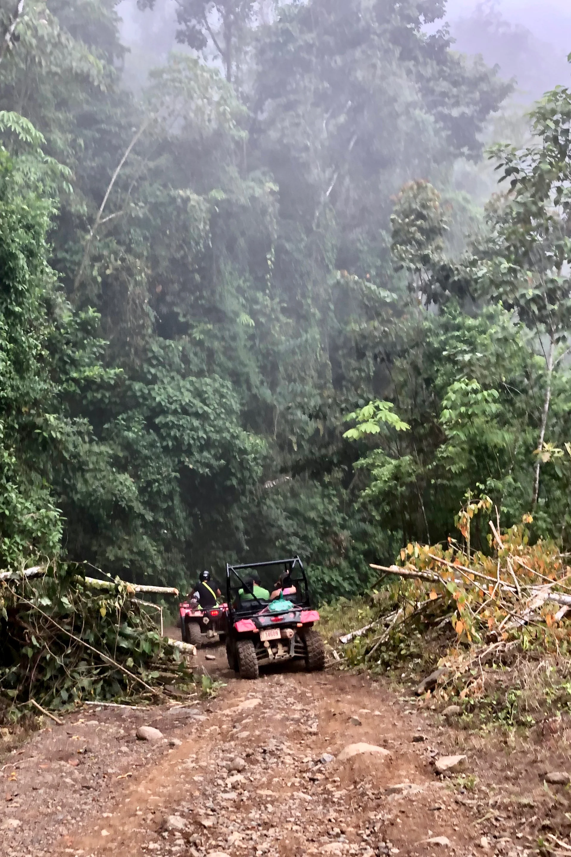ATV though the clouds in the rainforest