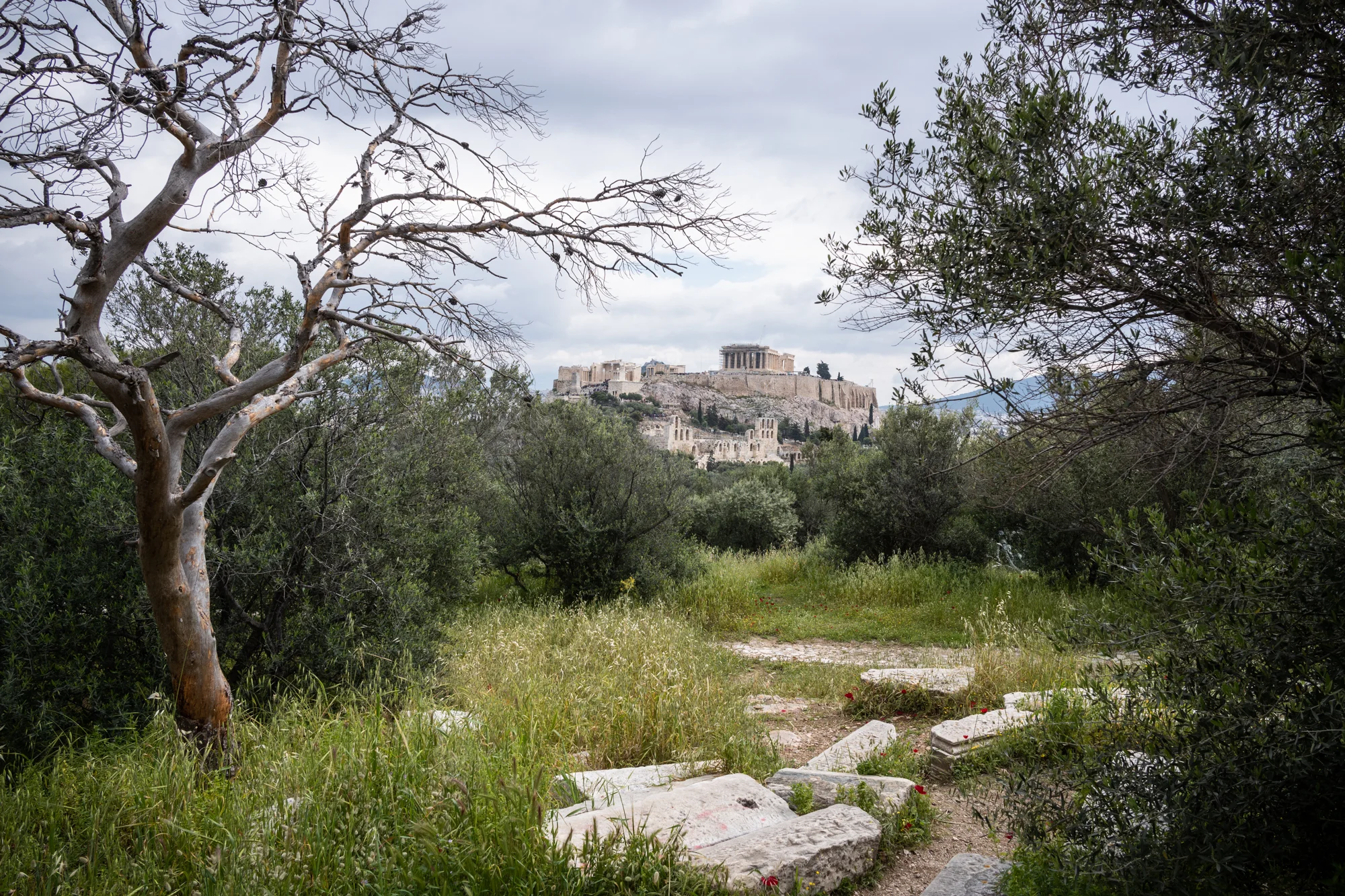 Different views of the Acropolis