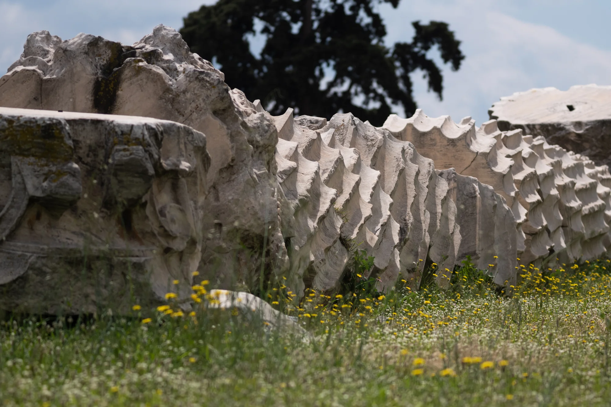 The fallen columns of Zeus