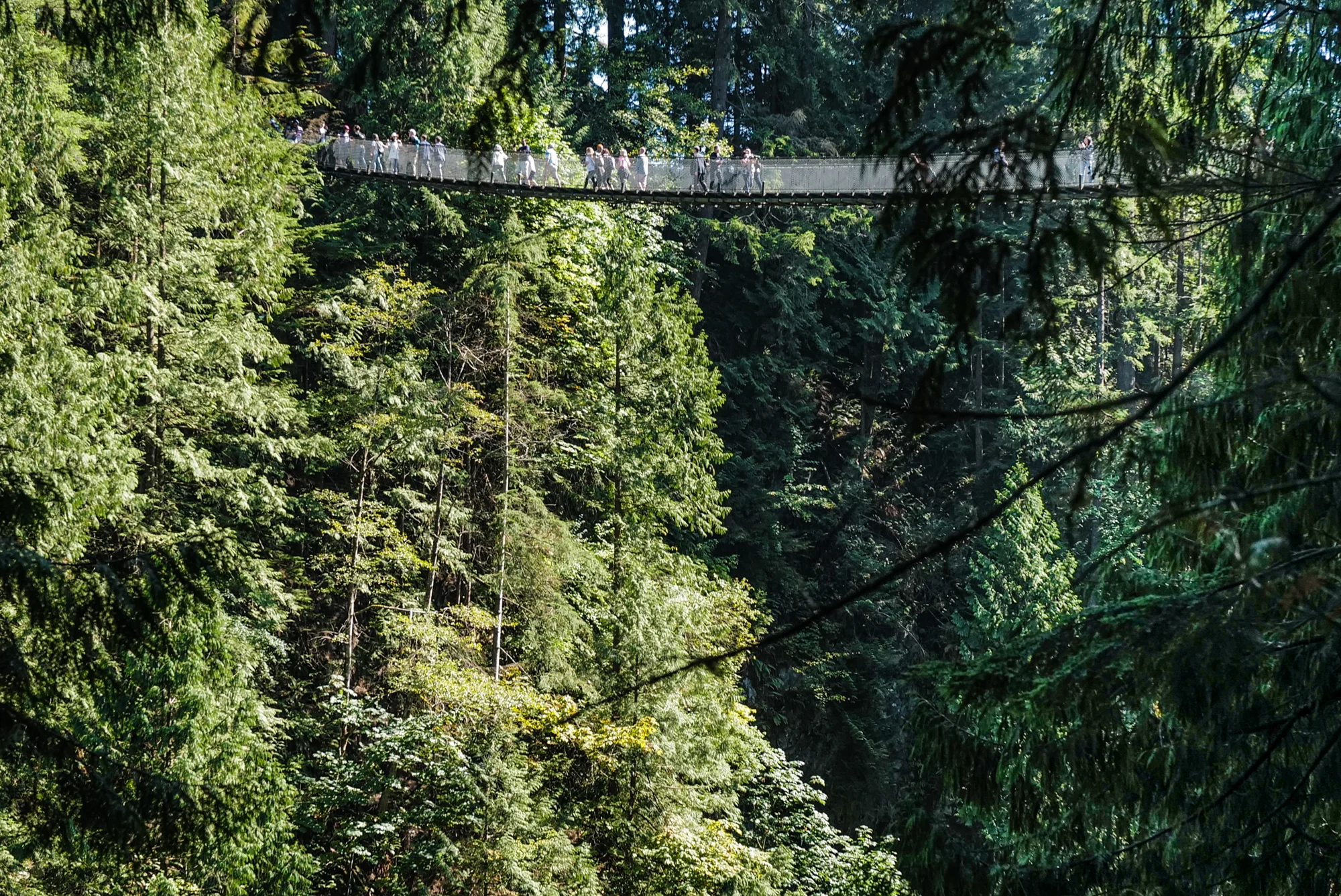 The Capilano Suspension Bridge
