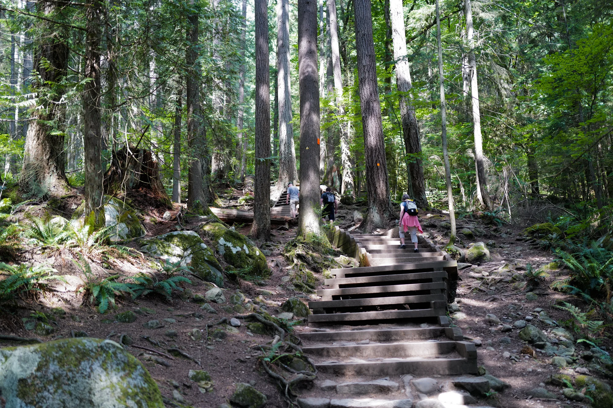 The steep trail to Quarry Rock