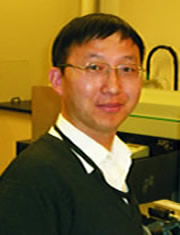 Dr. Qingxin Yang