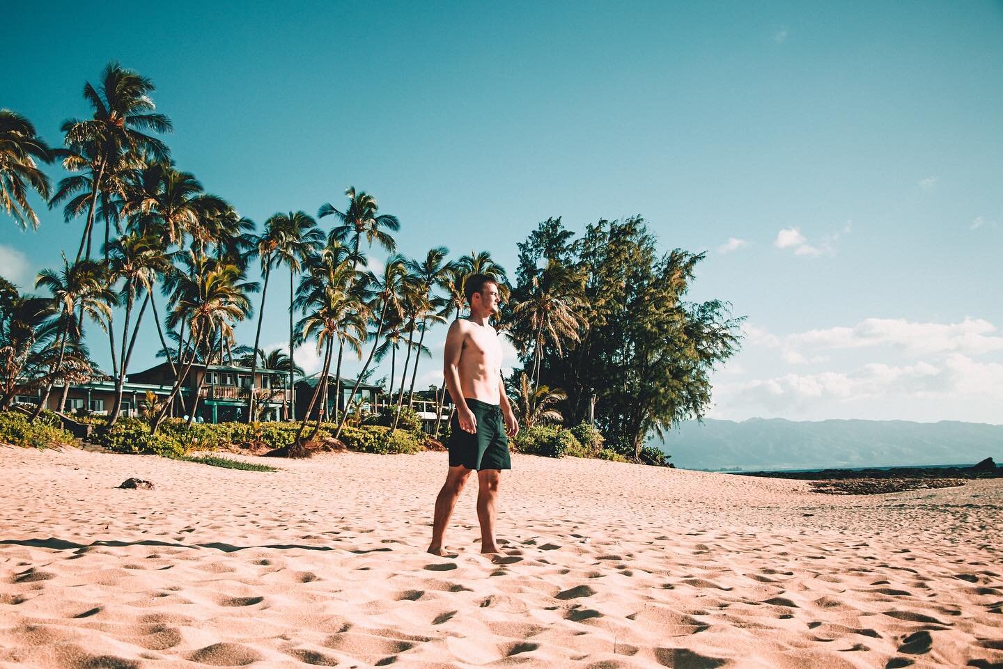 Tropic life 🏝 ///
#tiktok #welivetoexplore #neverstopcreating #northshore #oahuhawaii #artofviauals #earth #beachlife #explorerocreate #earthofficial #beachfront #sunsetbeach #islandsofadventure #travelholic #hawaii #rvca @rvca @rvcasurf