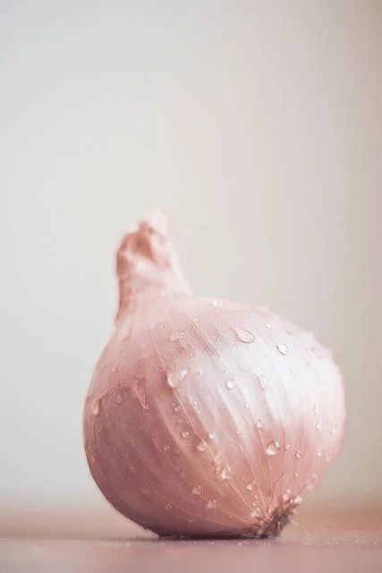 Remède santé millénaire, l'oignon est une plante herbacée qui possède de puissants bienfaits et de nombreuses vertus santé.En raison de la présence de substances antibiotiques naturelles, l'oignon est un excellent remède contre la grippe ou toute au…