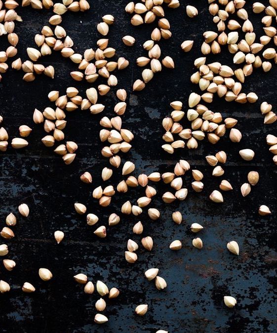 Ce blé noir, n’étant pas considéré comme une céréale, est un cousin de la rhubarbe et de l’oseille. Naturellement sans gluten, le sarrasin a une saveur prononcée de noisettes et peut aussi se cuisiner en grains entiers. Aliment nutritif de par sa teneur en protéine végétale (15g pour 100g), il est un allié pour les personnes ayant une alimentation végétarienne. Il contient aussi des antioxydants, des vitamines, notamment celles du groupe B et des sels minéraux : cuivre, fer, calcium, manganèse, phosphore, potassium.