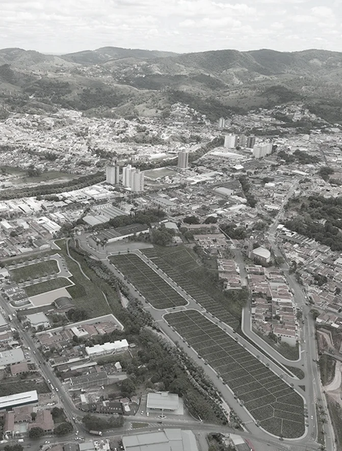 amparo.jpg