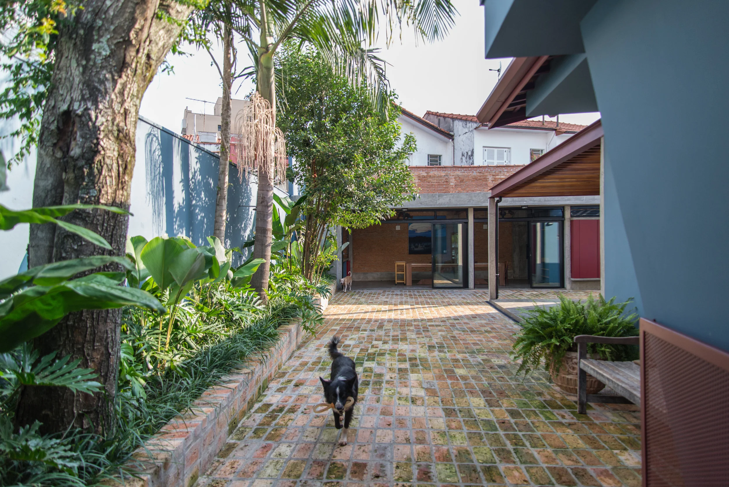 52 CASA LAPA_JR ARQ_LAURO ROCHA.jpg